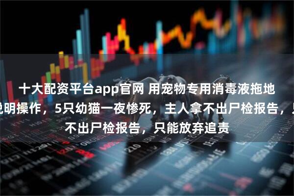 十大配资平台app官网 用宠物专用消毒液拖地后，严格按说明操作，5只幼猫一夜惨死，主人拿不出尸检报告，只能放弃追责