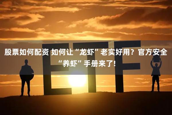 股票如何配资 如何让“龙虾”老实好用?官方安全“养虾”手册来了!